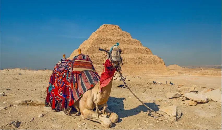 Viaje viaje-egipto-nilo-tvg-4598
