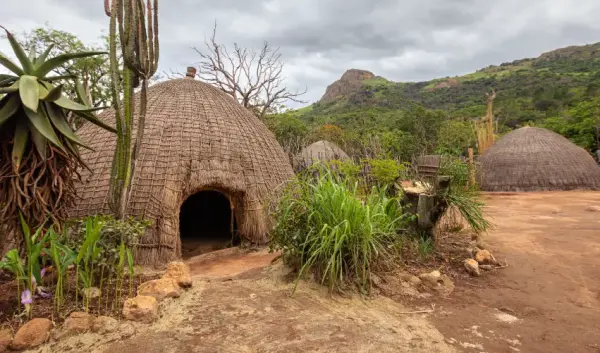 VIAJE VIAJE SUDAFRICA KRUGER ESUATINI SUAZILANDIA TVG 4776