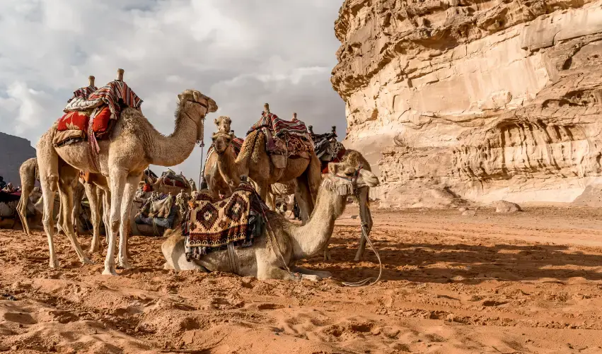 Viaje viaje-medio-oriente-amman-petra-wadi-rum-aqaba-jordania-tvg-5274