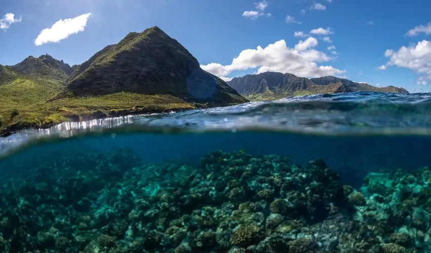 Viaje viaje-estados-unidos-honolulu-eeuu-tvg-5338