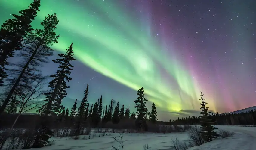 Viaje alaska-anchorage-fairbanks-tvg-5514